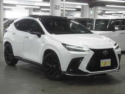 LEXUS NX - 8