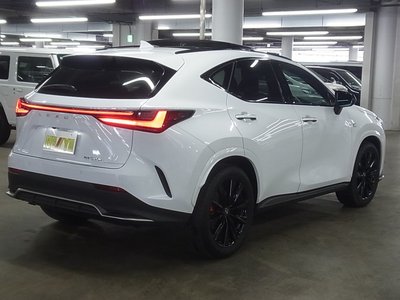 LEXUS NX - 6