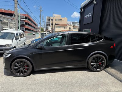 صورة مصغرة 10 لـ 2019 Tesla MODEL X