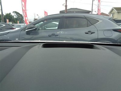 2023 Lexus NX 缩略图 24