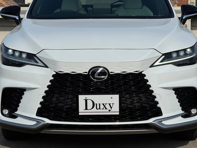 2025 Lexus RX 缩略图 25