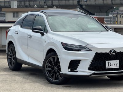 2025 Lexus RX 缩略图 19