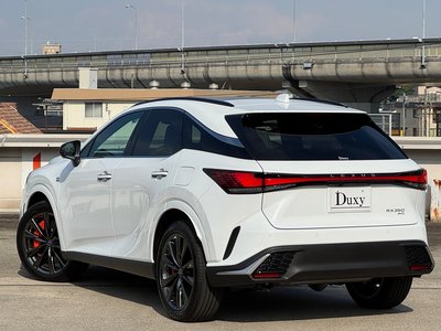 2025 Lexus RX 缩略图 13