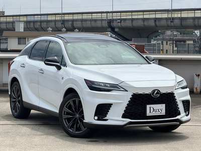 2025 Lexus RX 缩略图 11