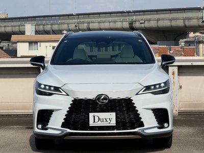 2025 Lexus RX 缩略图 15