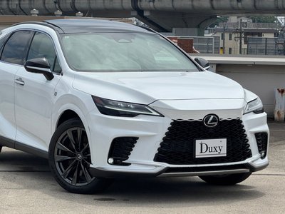 2025 Lexus RX 缩略图 20