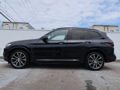 2023 BMW X3 照片 3