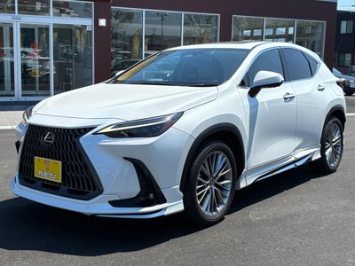 LEXUS NX - 10
