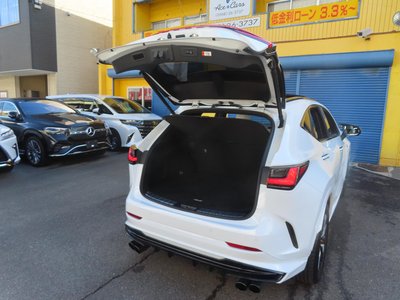 2024 Lexus NX 缩略图 47