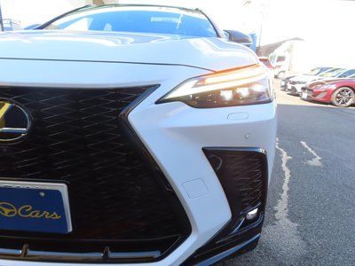 2024 Lexus NX 缩略图 31