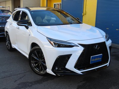 2024 Lexus NX 缩略图 24