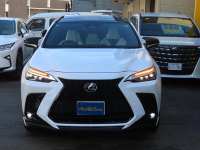 2024 Lexus NX 缩略图 22