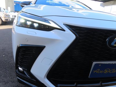 2024 Lexus NX 缩略图 30