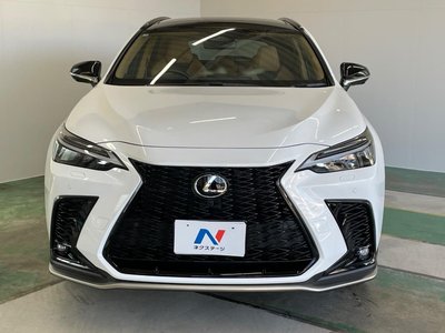 2025 Lexus NX 缩略图 14