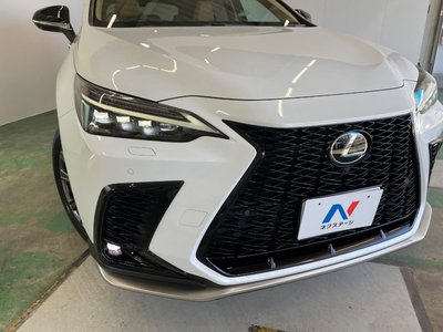 2025 Lexus NX 缩略图 27