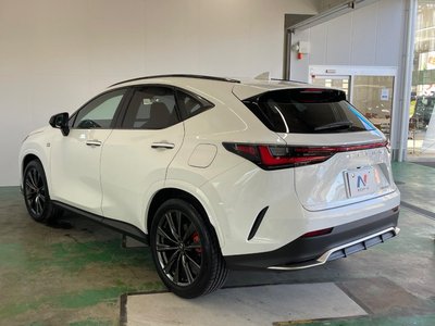 2025 Lexus NX 缩略图 24