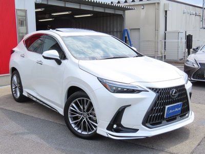 2023 Lexus NX thumbnail 30