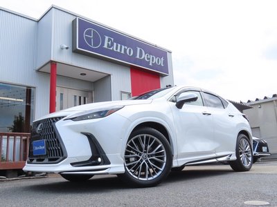 2023 Lexus NX thumbnail 22