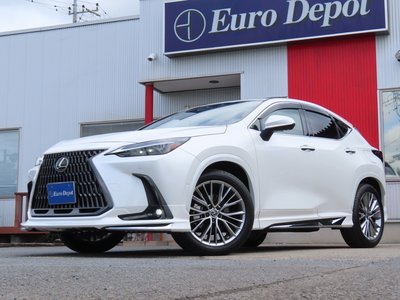2023 Lexus NX thumbnail 81