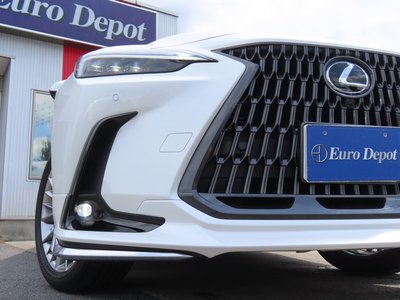 2023 Lexus NX thumbnail 25