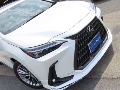 2023 Lexus NX thumbnail 31