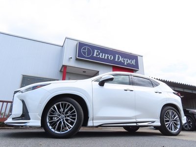 صورة 10 لـ 2023 Lexus NX