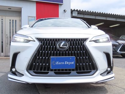 2023 Lexus NX thumbnail 32