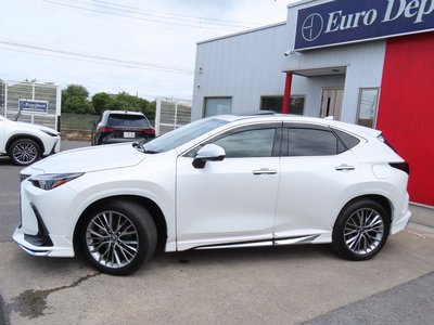 2023 Lexus NX thumbnail 26