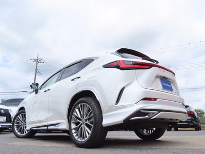 2023 Lexus NX thumbnail 44