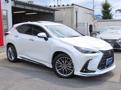 2023 Lexus NX thumbnail 29
