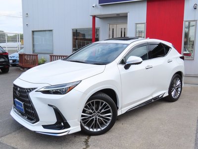 2023 Lexus NX thumbnail 27