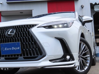 2023 Lexus NX thumbnail 24