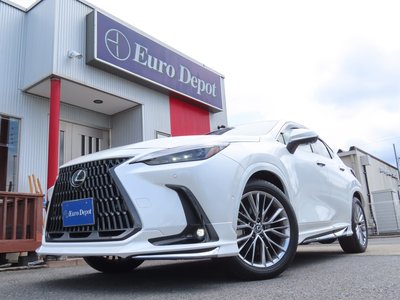 2023 Lexus NX thumbnail 23