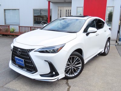 2023 Lexus NX thumbnail 82