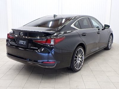 2023 Lexus ES 照片 6