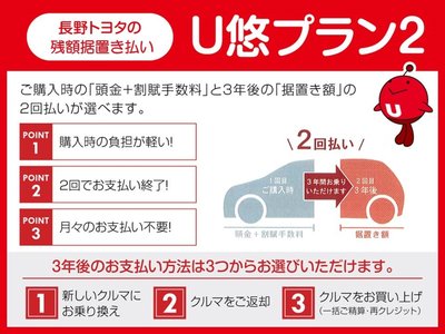 2024 Toyota ALPHARD — миниатюра 47