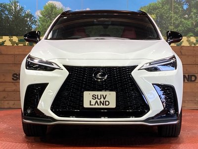2025 Lexus NX — миниатюра 14