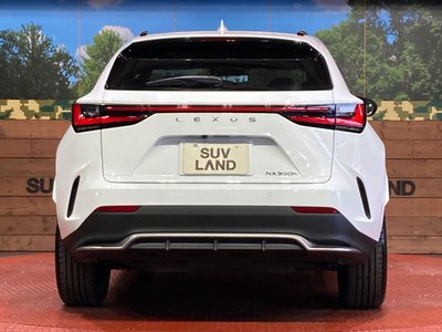 2025 Lexus NX — миниатюра 15