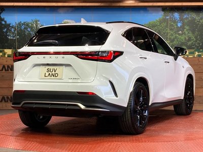 2025 Lexus NX — миниатюра 17
