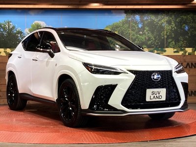 2025 Lexus NX — миниатюра 16