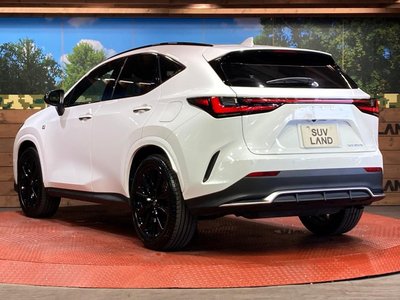 2025 Lexus NX — миниатюра 29