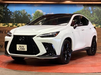 2025 Lexus NX — миниатюра 27