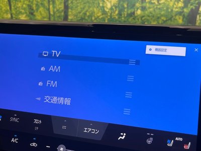 2025 TOYOTA ALPHARD thumbnail 24