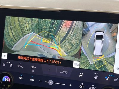 2025 TOYOTA ALPHARD 照片 7