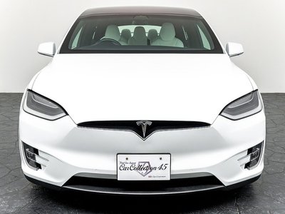 2018 Tesla MODEL X 照片 6