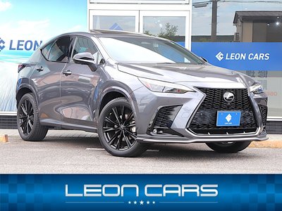 LEXUS NX - 2