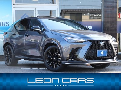 LEXUS NX - 1