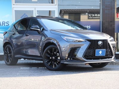 LEXUS NX - 9