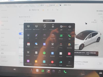 2024 Tesla MODEL 3 缩略图 34