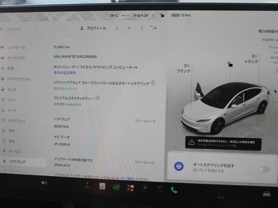 2024 Tesla MODEL 3 缩略图 31